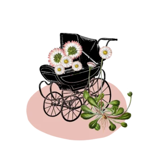 Kinderwagen mit verschiedenne Blumen