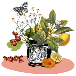 teetasse mit pflanzen